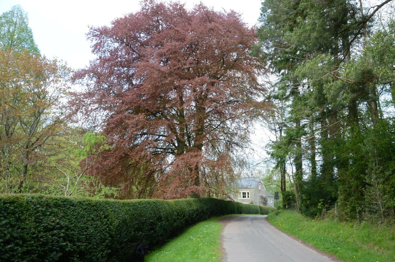 Rosedale Retreat Bed And Breakfast Hereford Exterior foto